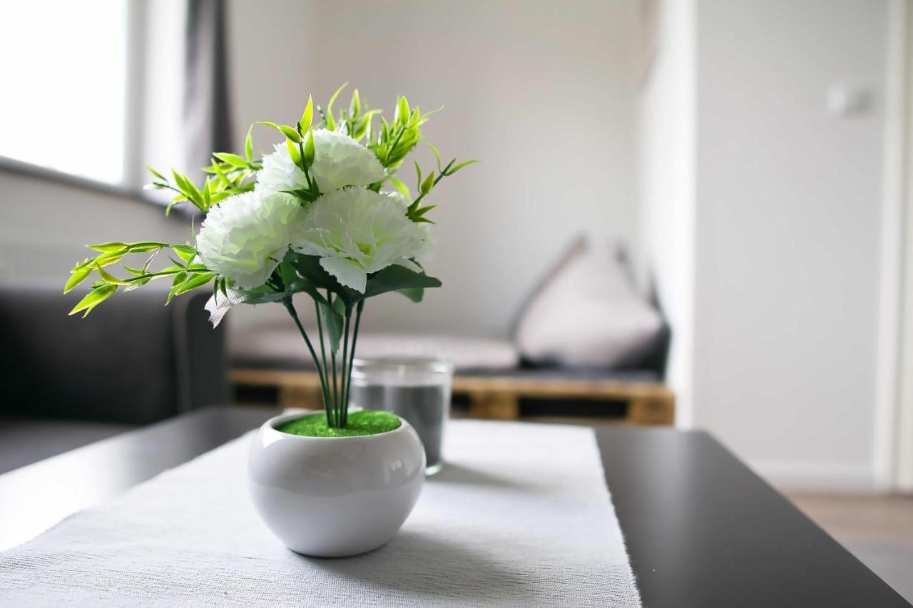 Heide Ferienwohnung Sued Schneverdingen Esterno foto